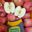 일순농장 이미지