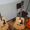 드림실용음악학원 이미지