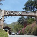 대구은행 황제지점 앞 이미지