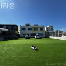 하이라온 네이버블로그