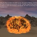 10월 22일 출애굽기 3:1-2 / L.B.카우만 『사막에 샘이 넘쳐 흐르리라』 COWMAN, STREAMS IN THE DESERT 이미지