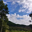 루스켄넬 이미지