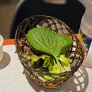 대박집솥뚜껑삼겹살 | 대전 어은동 싹쓰리솥뚜껑삼겹살 유성점 내돈내산 솔직후기