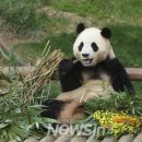 안녕 구름아 이미지