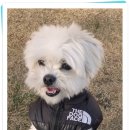아이조아요양호텔 이미지