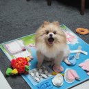 오늘의개스트 이미지