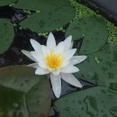 선진농원 - 천안시 서북구 새터길 57 | 선진농원