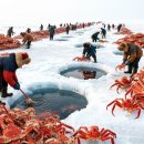 72 Hours on an Alaska King Crab Boat – Ice, Waves, Massive Crabs 이미지