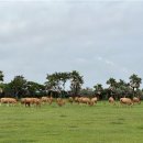 길은목장 이미지