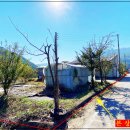 백두상가 이미지