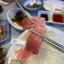 수상한참치.회 | 가락시장 맛집 모듬회 추천, 수동상회 참치회 후기