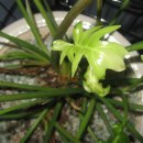 미파유치원 이미지