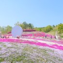 진안슈퍼 이미지