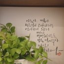 벌떼미인클럽 - 미추홀구 경인로 9 | 벌떼미인클럽