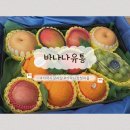 선물출구 | 가락시장 청과시장 과일 맛집 바나나유통 설날 명절 선물 내돈내산 추천 후기