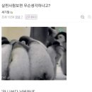 디시 다이어트 갤러리.jpg 이미지