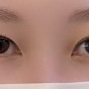 건대입구역-15 | 컬 유지력 미쳤다! 건대입구역속눈썹펌 후기 (보리네눈썹가게)