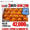 김천혁신농업협동조합 하나로마트 이미지