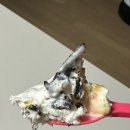 배스킨라빈스양산증산