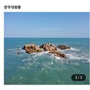 문무여행사 이미지