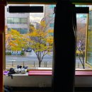 군자뮤직복싱다이어트 이미지