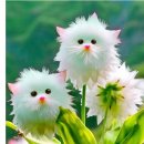 아이난