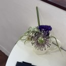 오베오브