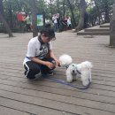 한국체육관 네이버블로그