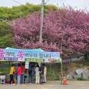 태봉리농산물