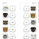 내서문화의집(사무실1/북카페1/강의실1) | [치앙마이] 여기어때 원지트립(1) - 당첨 이슈 발생