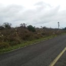 제주사랑공인중개사사무소 이미지