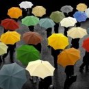 사랑의 대화 이미지