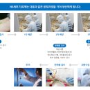 에스엠티 이미지