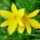 만수반점 이미지