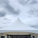 정희철 카카오 검색결과