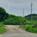 대광농원 이미지