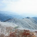 11/18(토) 민주지산 상고대&설경[10人 입금시 출발확정!] 이미지