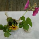 강원애니고등학교 이미지