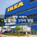 시드니램1901 이미지