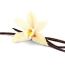 바이벨라 이미지