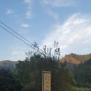 신약수귀틀집