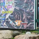 고성마을 | 강원도 고성 소똥령마을 | 여름 계곡 장신유원지 캠핑 후기