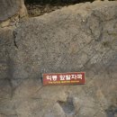 화석 2002 네이버블로그