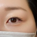 라보떼래쉬 | 건대속눈썹펌 라보떼래쉬 속눈썹펌 후기