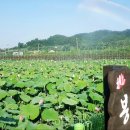 봉정연꽃마을 이미지