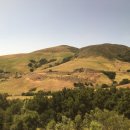 용눈이펜션 이미지