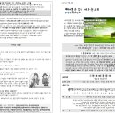 디딤돌교회