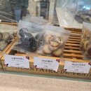 케이크와 쿠키의 세계 | 부산케이크맛집 해운대 마린시티 모티에 과자점 내돈내산 후기