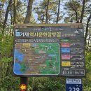편백숲 | 거제도 선자산 편백숲 백패킹후기