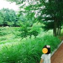 탕정로 이미지